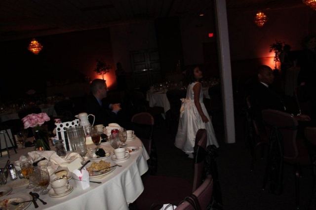 Picture 1044