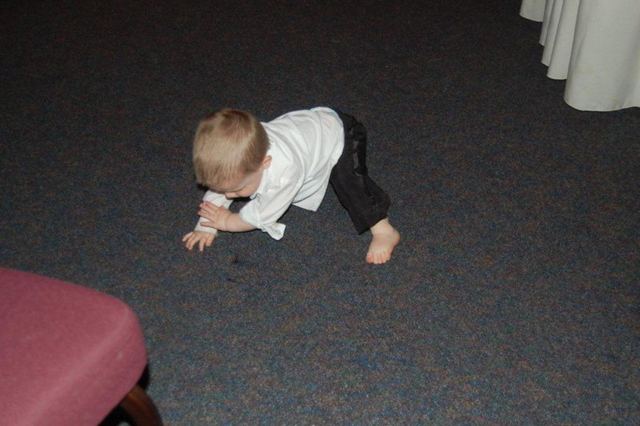 Picture 339
