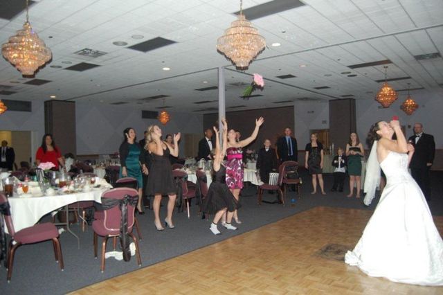 Picture 515