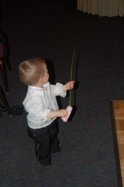 Picture 543