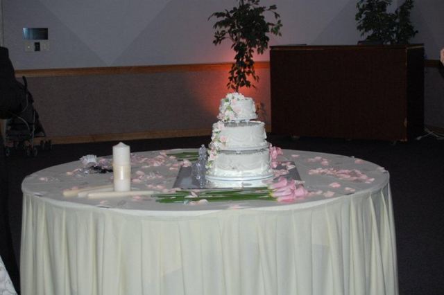 Picture 565
